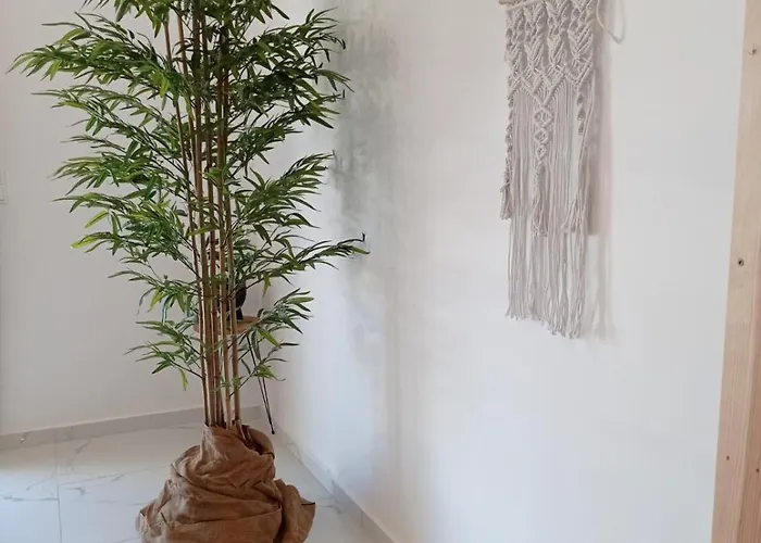 Maistrali ゲストハウス